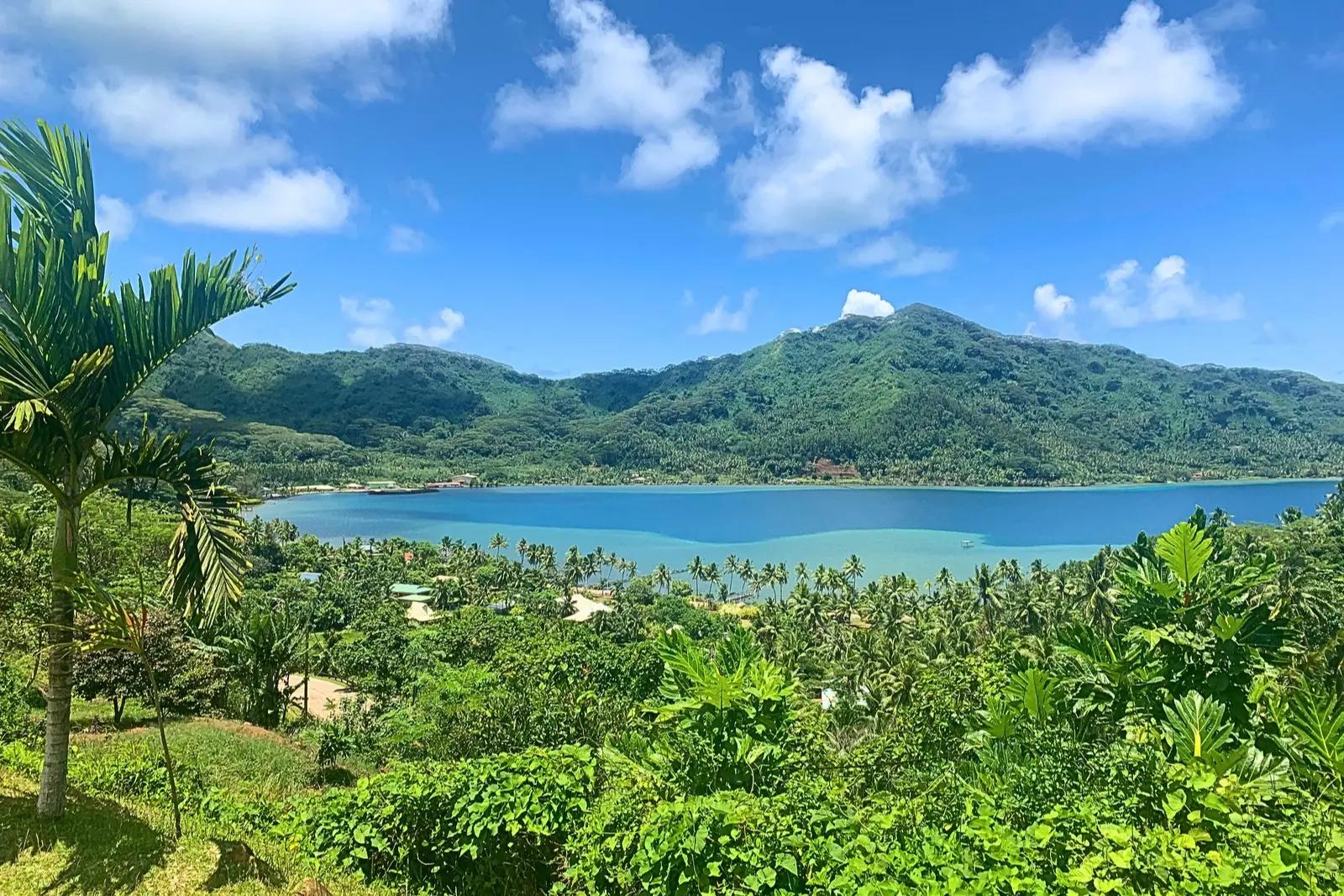 A view over a blue bay and green mountains from a palm-covered hillside on Taha'a.