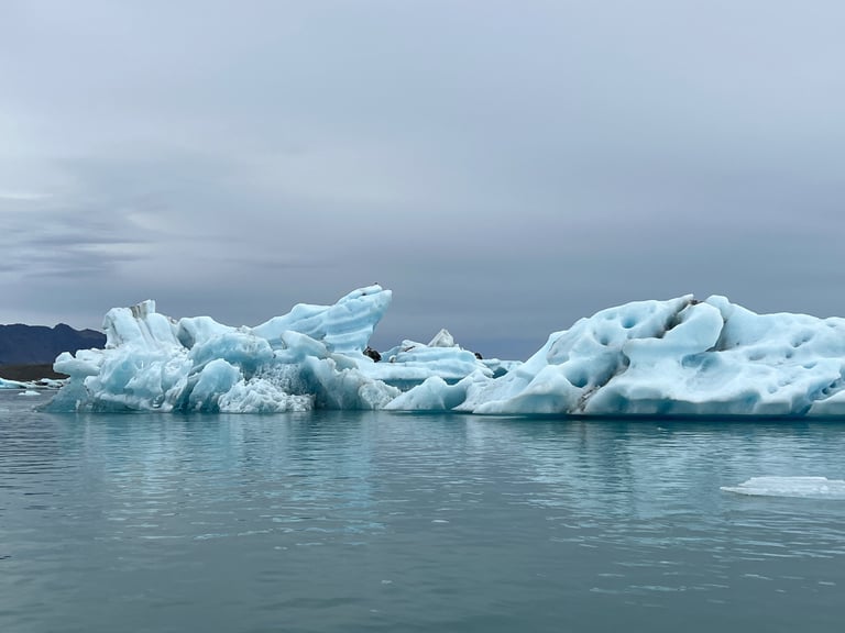 Sculpted blue icebergs floating in a calm glacial lagoon under an overcast sky.