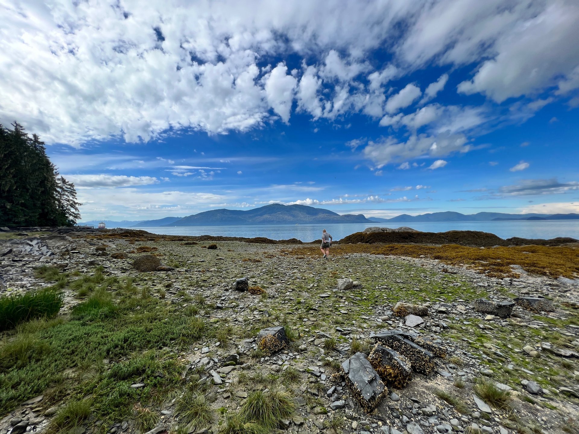 A traveler walking a rocky Alaska shoreline with forested mountains across the water on a Seabourn expedition landing.