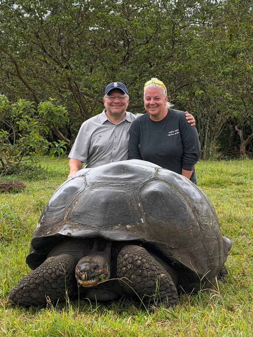 Erika and Chris Commisso standing behind a Galápagos giant tortoise in grassy woodland.
