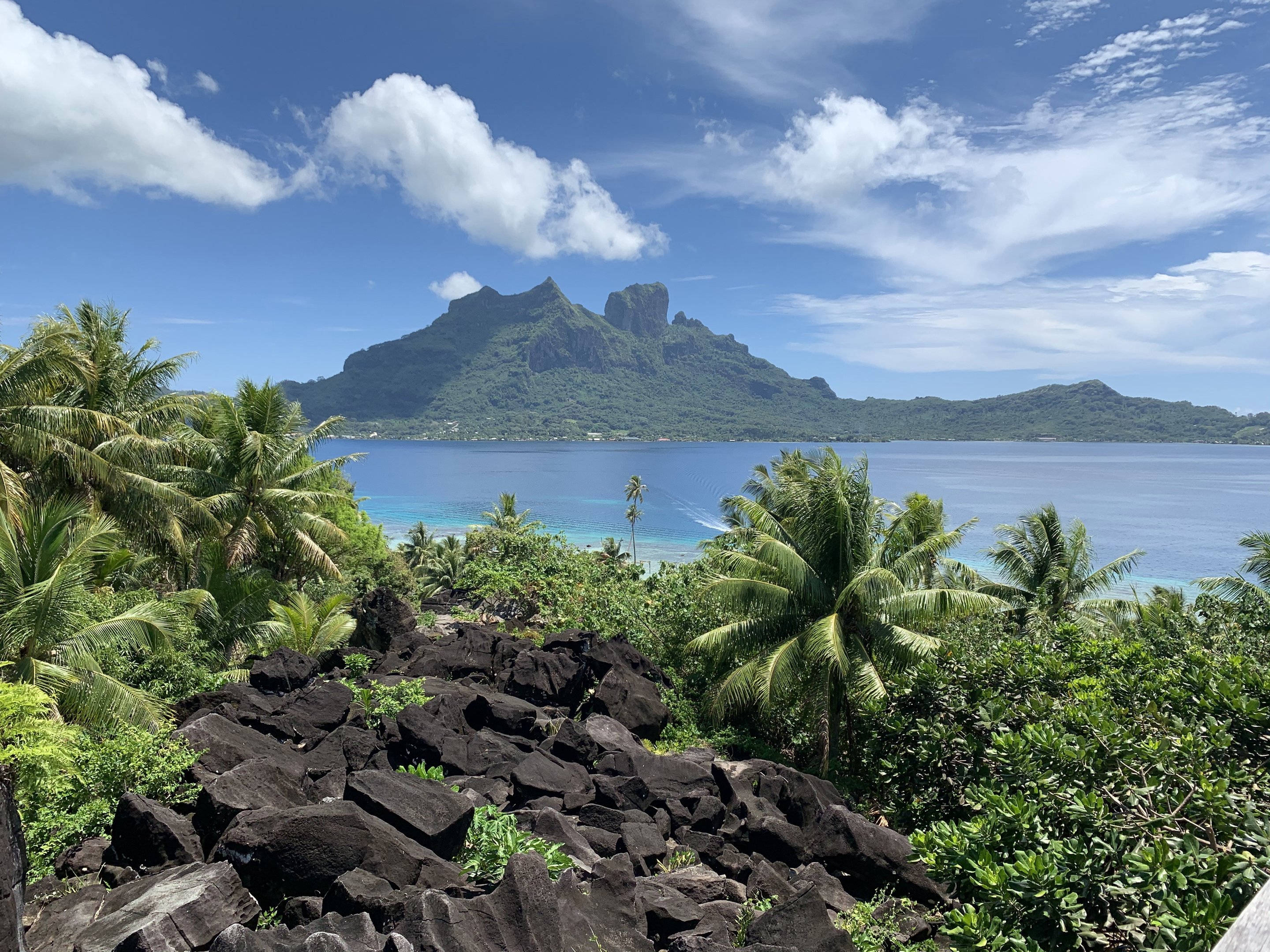 A lush Society Islands lagoon in French Polynesia, with volcanic peaks rising behind palm-fringed shores.
