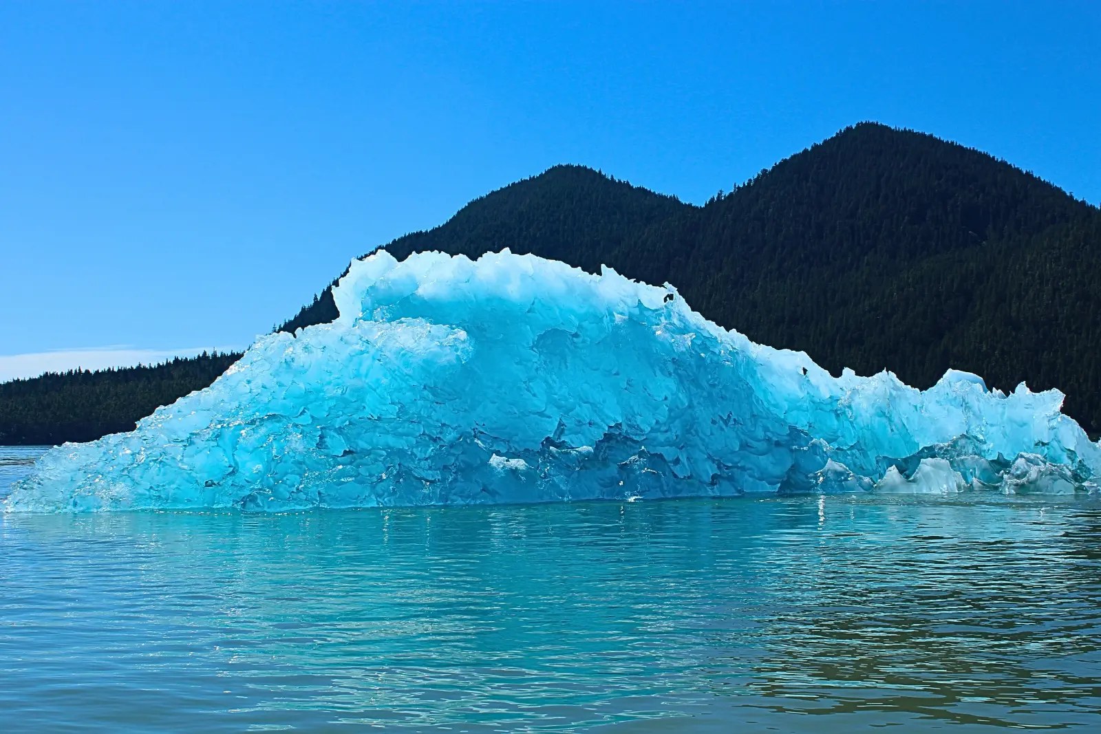 A bright blue iceberg floating in front of a dark, forested hill under a clear sky.