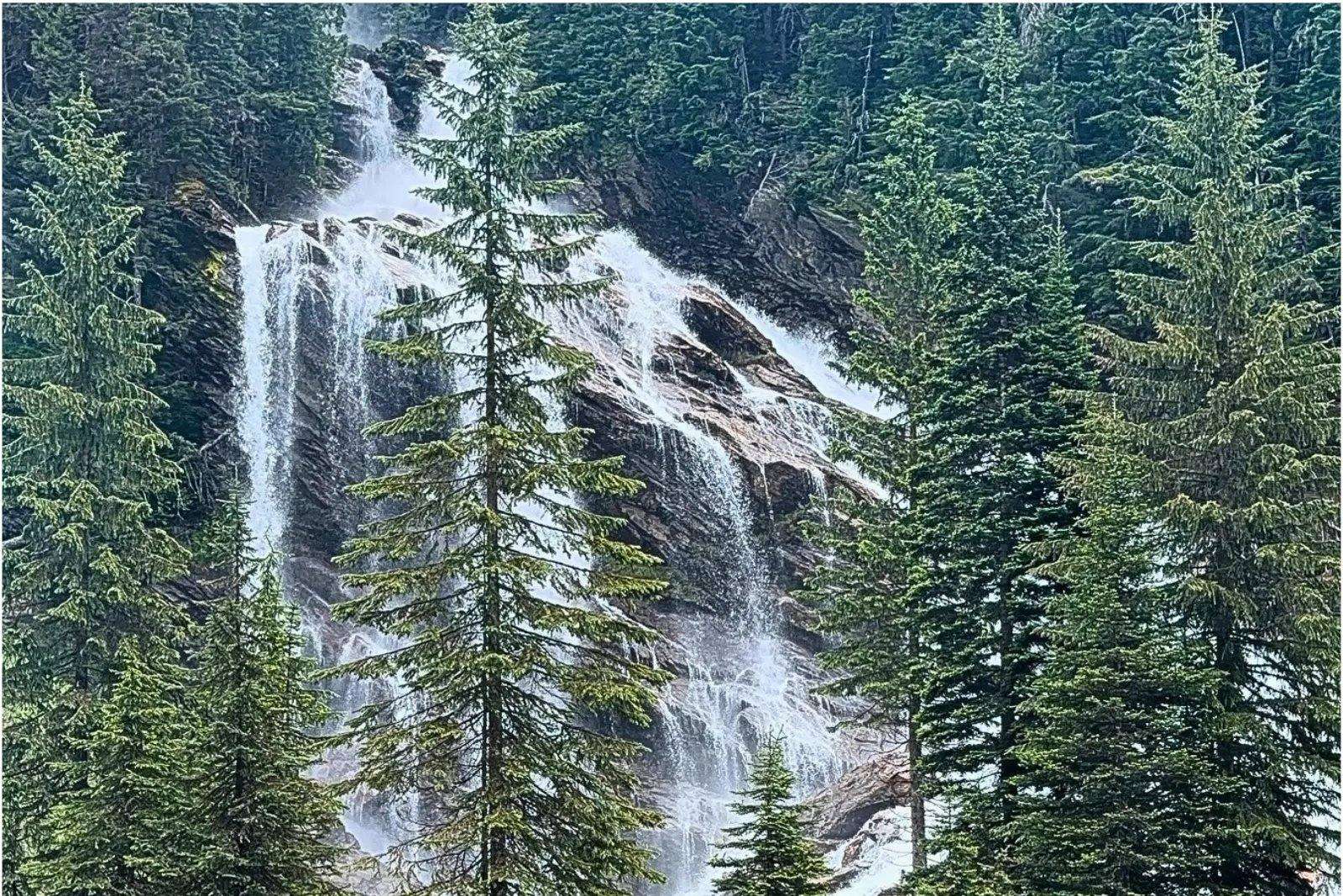 A waterfall running down a forested rock face in the Canadian Rockies.