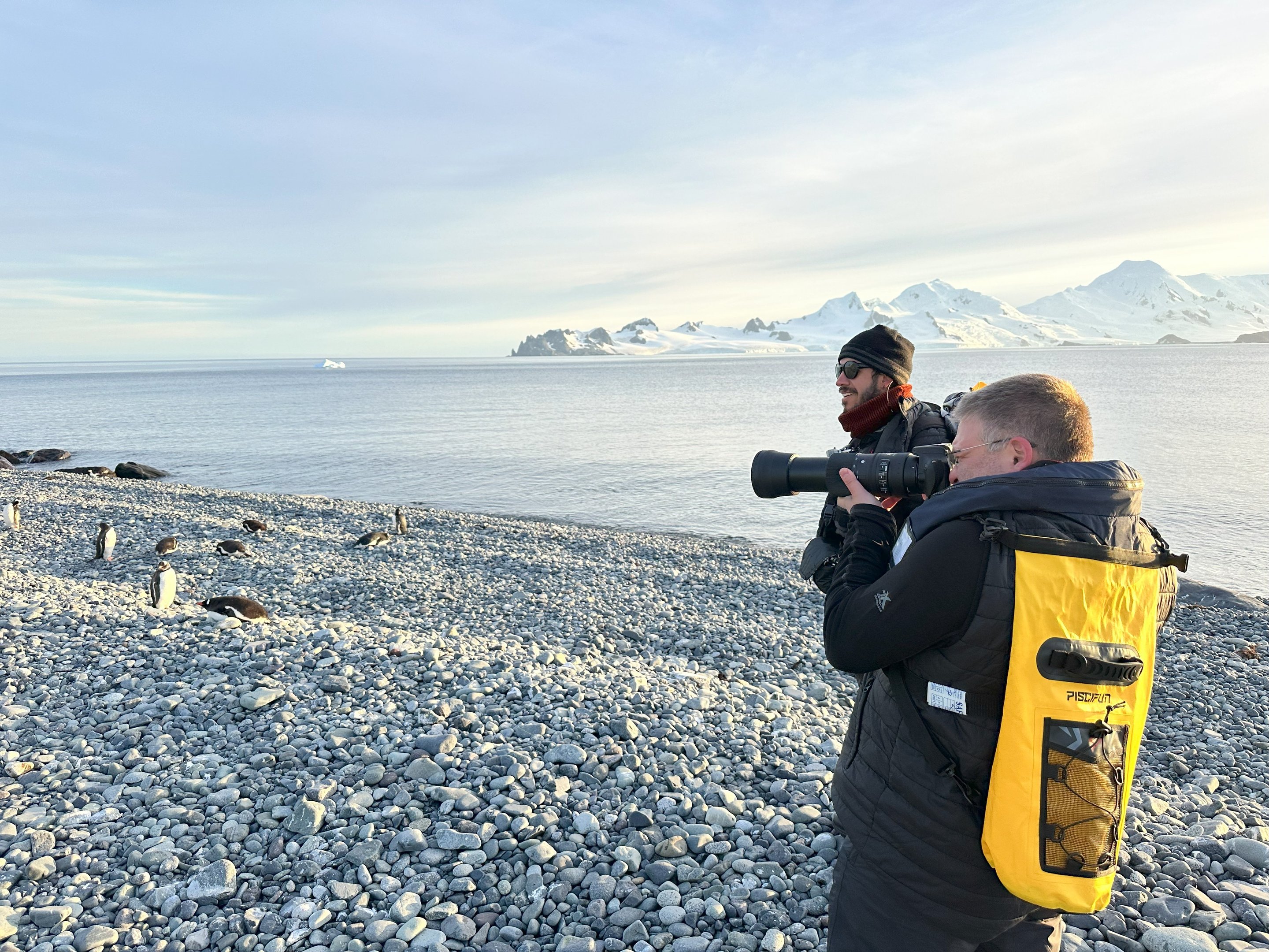 Photographers with long lenses on a pebble beach among gentoo penguins, with snow-covered Antarctic mountains across the bay