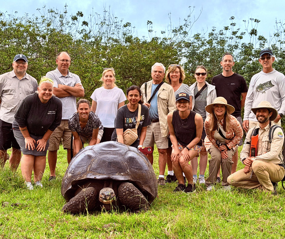 A Galápagos giant tortoise moving through green vegetation in the Santa Cruz highlands.
