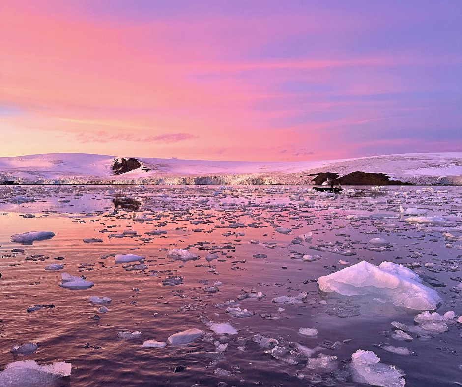 Sunset over Antarctic ice floes and glaciers under a pink and purple sky.